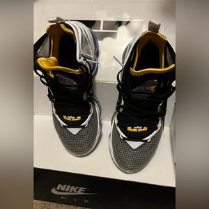 Lebron James 19 collection Lakers  colors